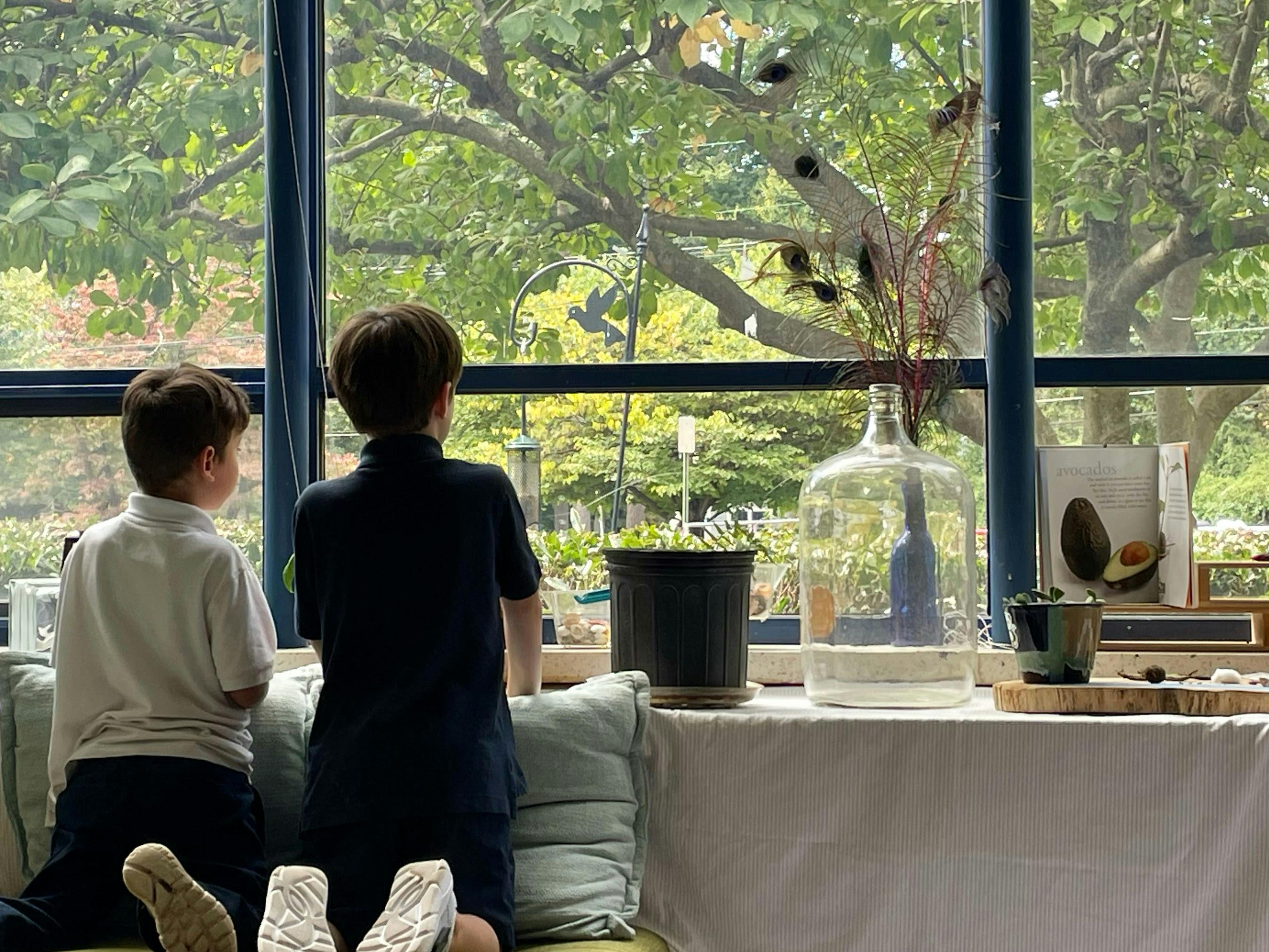 Two children looking out a window at trees