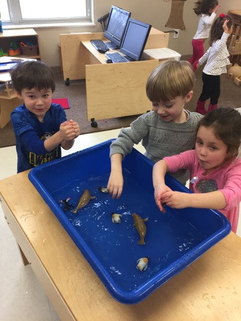 Three children playing with toy fish in a blue bin of water