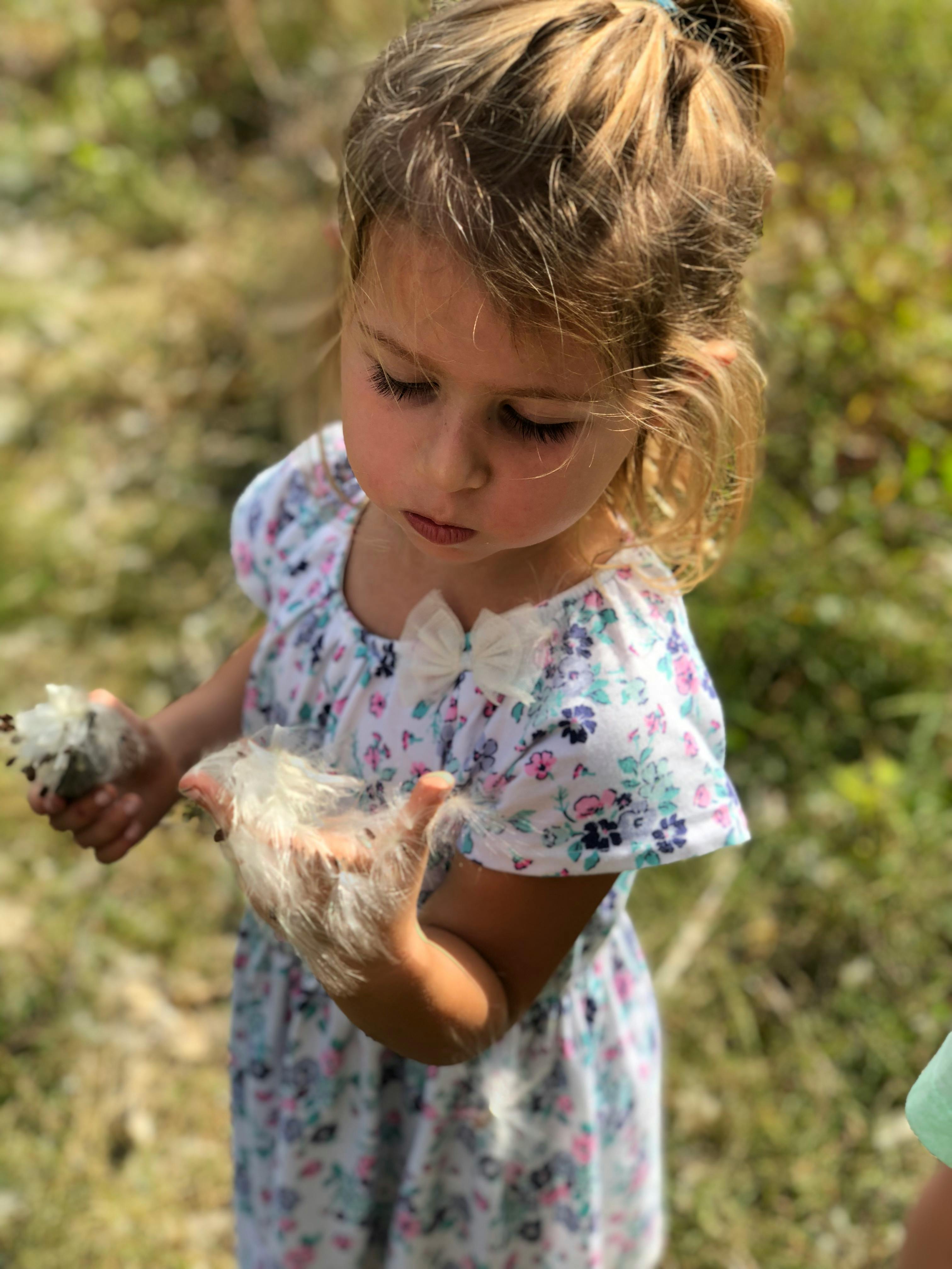 Child holding fluffy white plant material in both hands