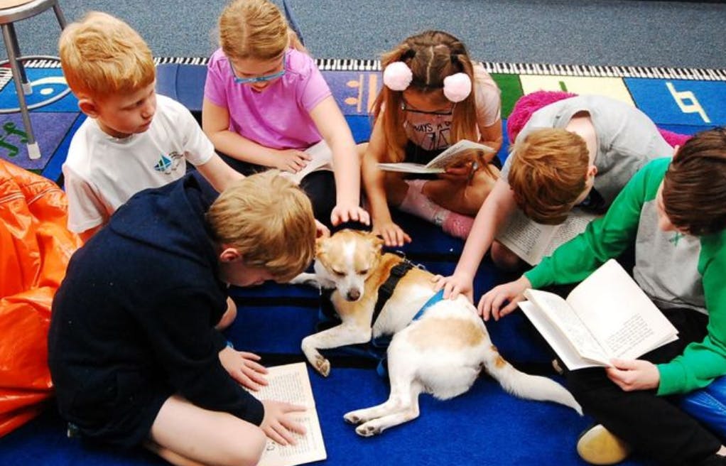 Children reading books around a dog on a blue mat