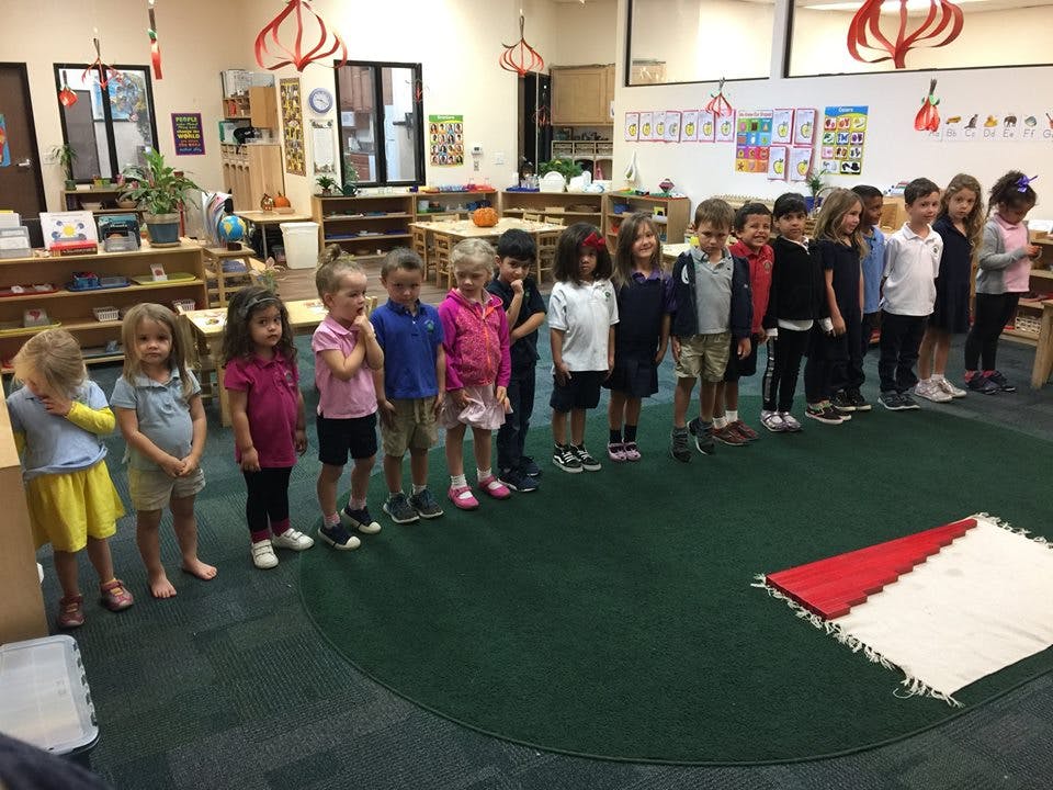 Children standing in a line in a classroom