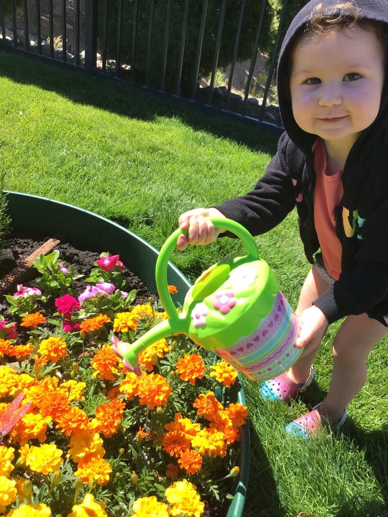 Child watering flowers with a small watering can