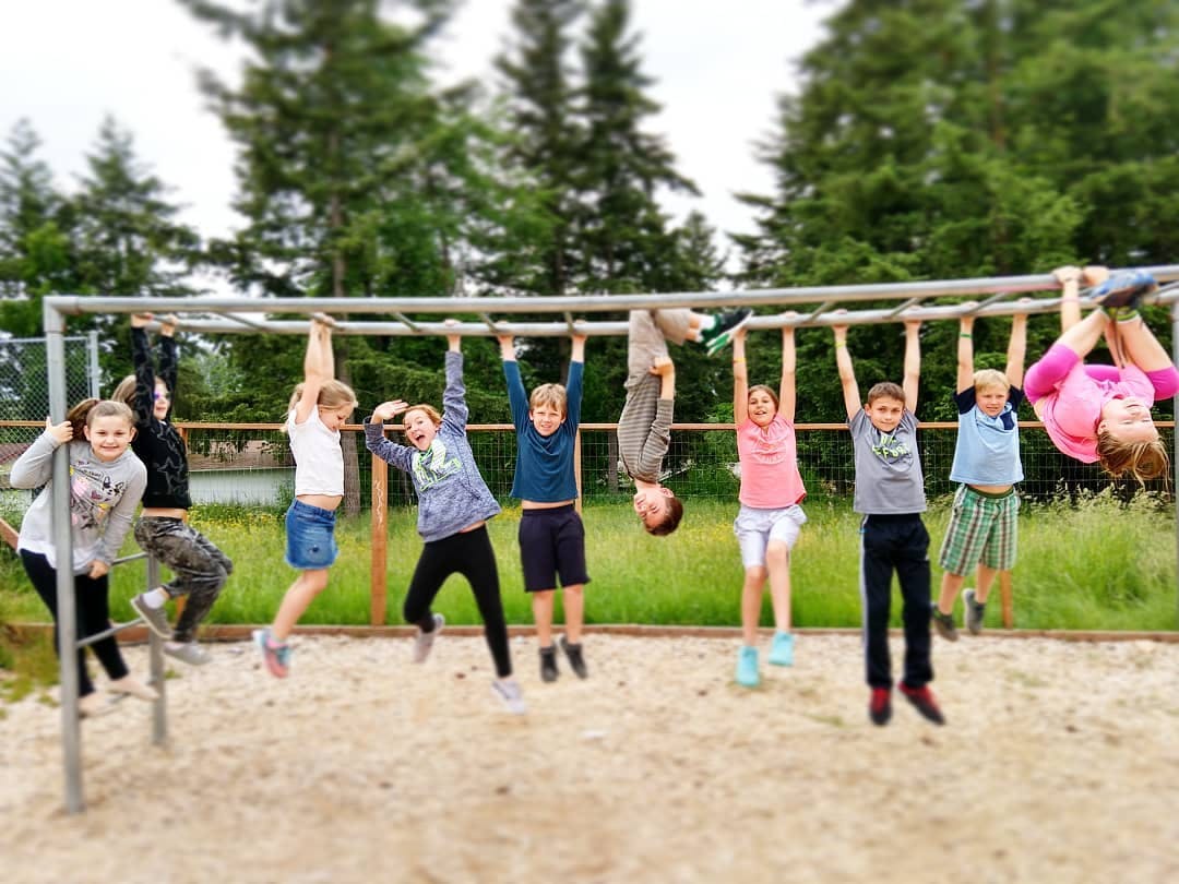 Children playing on monkey bars, some hanging upside down