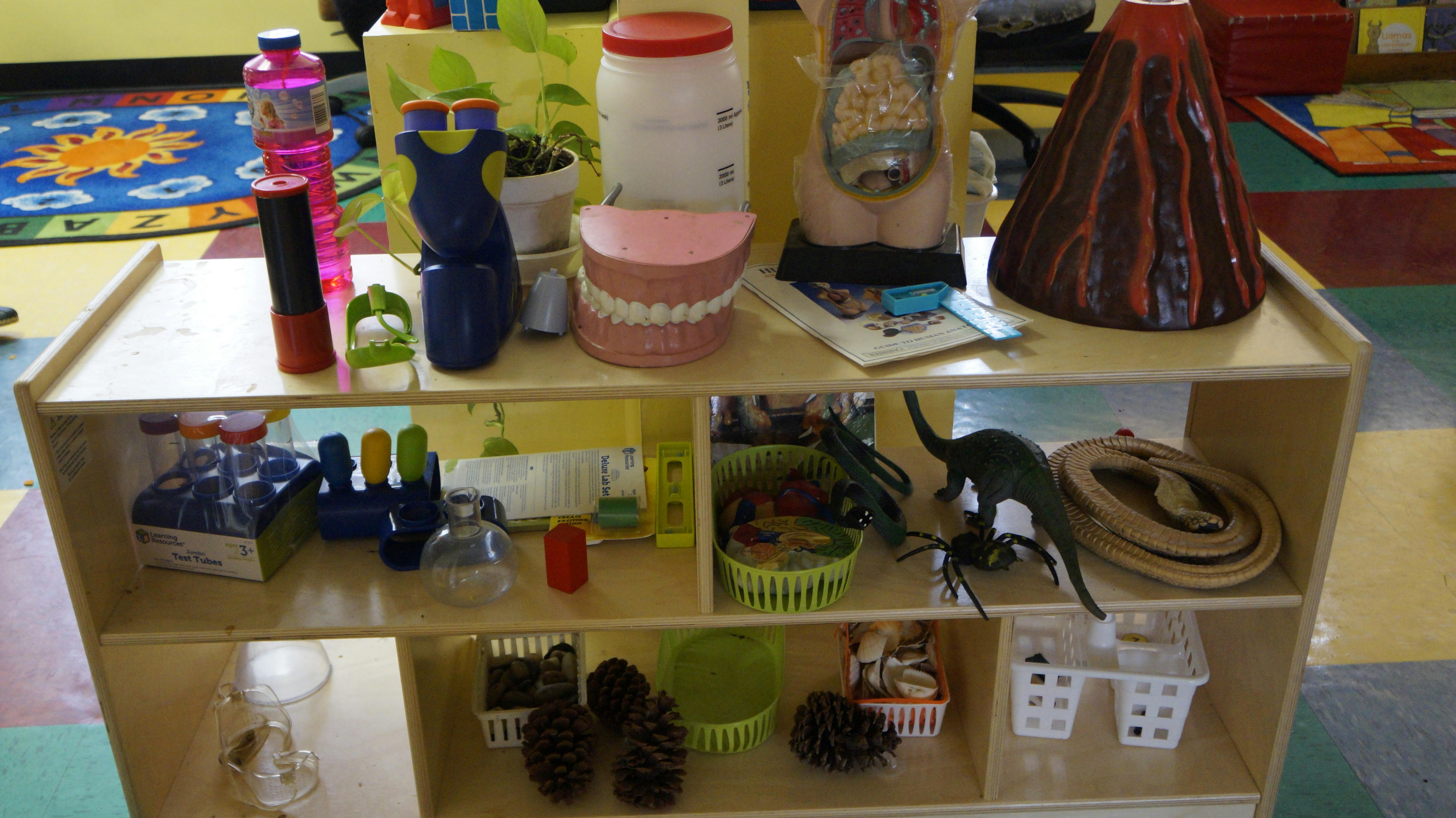 Shelf with a volcano model, human anatomy model, and various objects