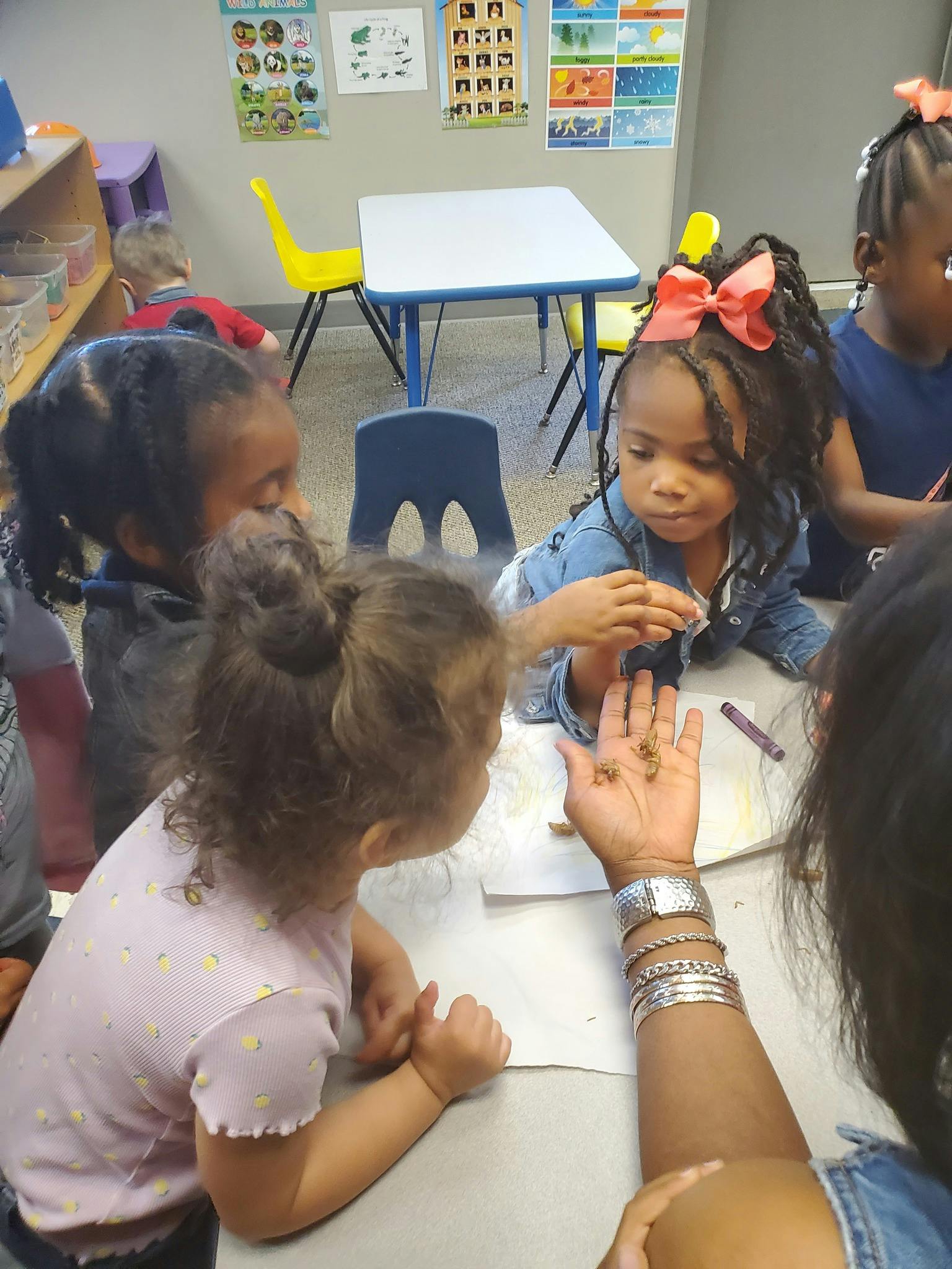 Children looking at an adult's hand in a classroom