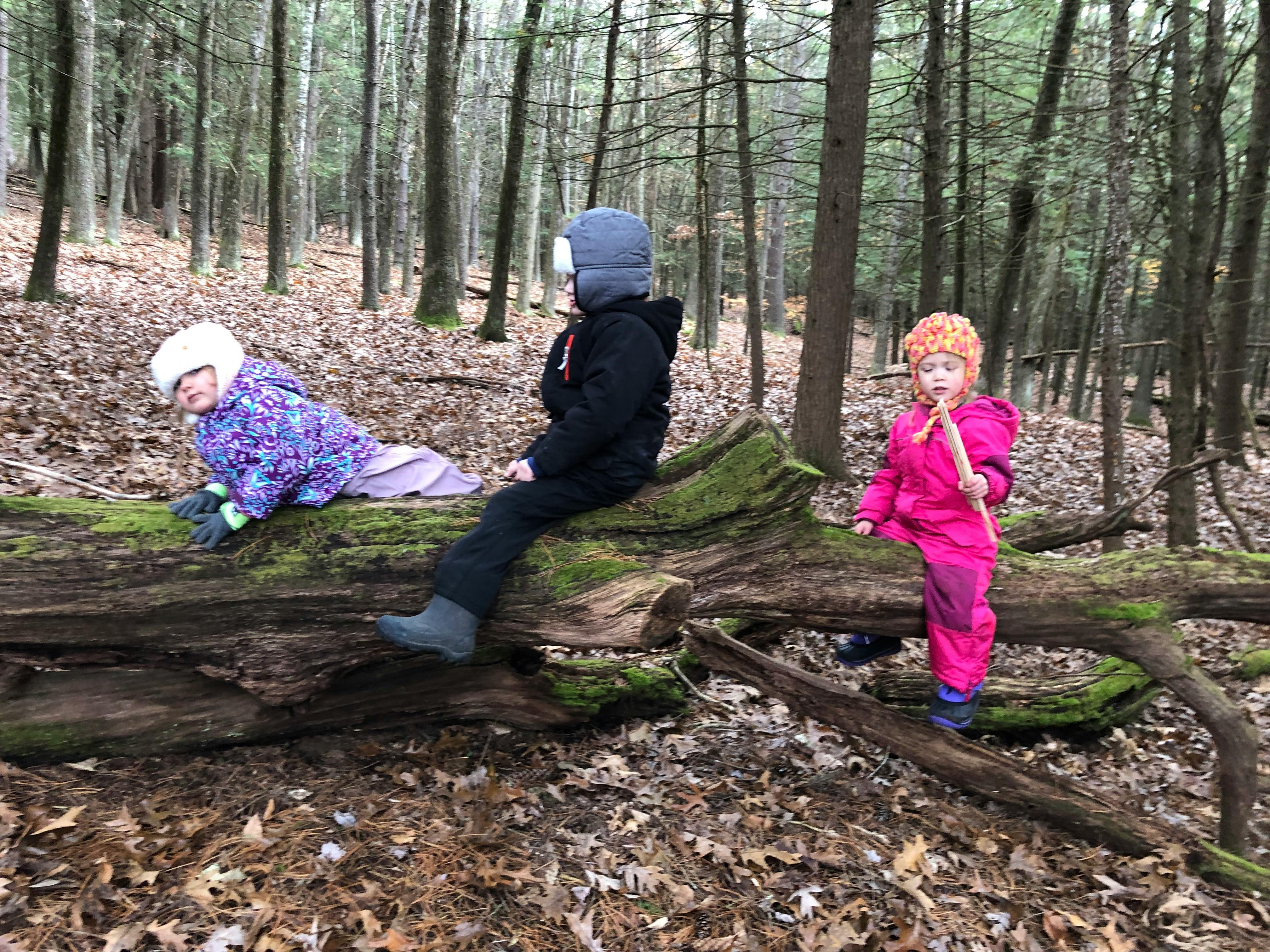 Three children playing on a fallen log in a forest