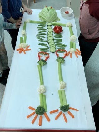 Vegetable skeleton on a white table