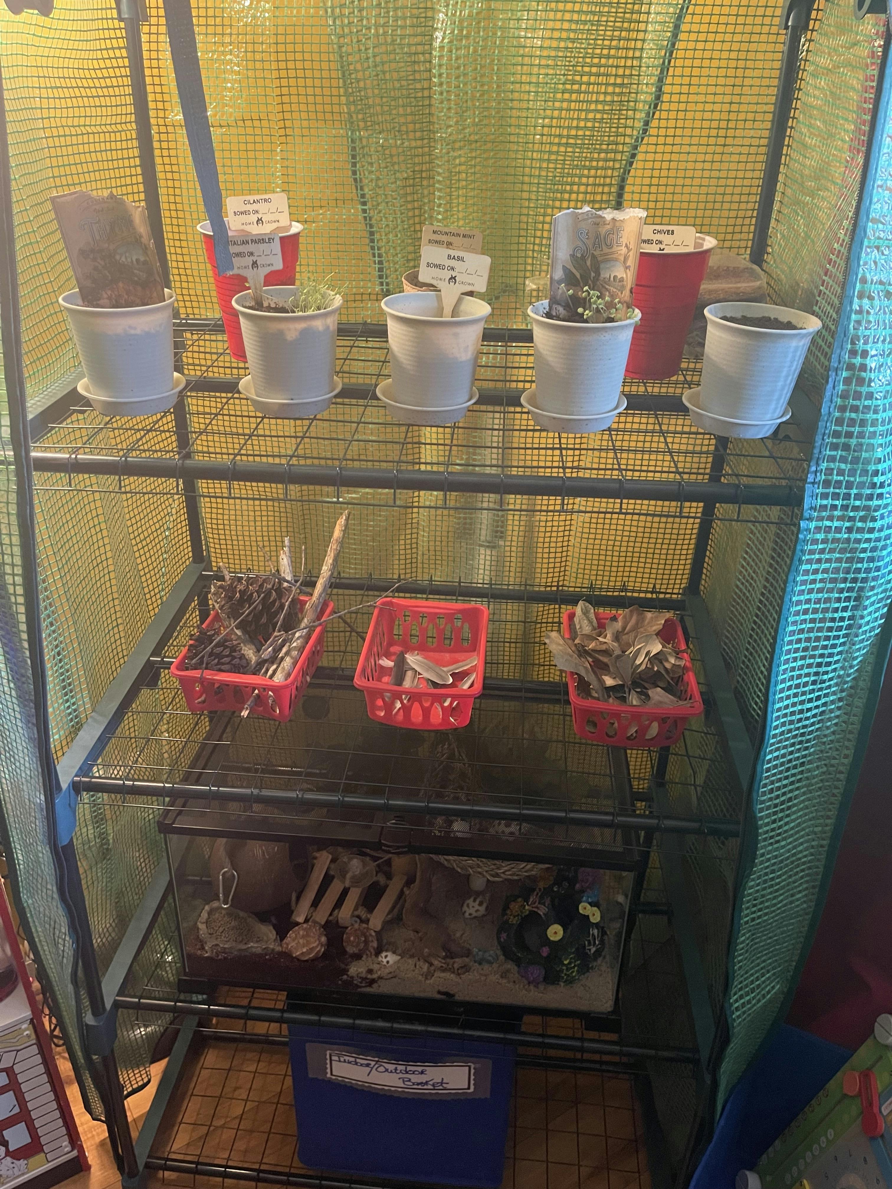 Shelving unit with potted plants, red baskets, and a terrarium