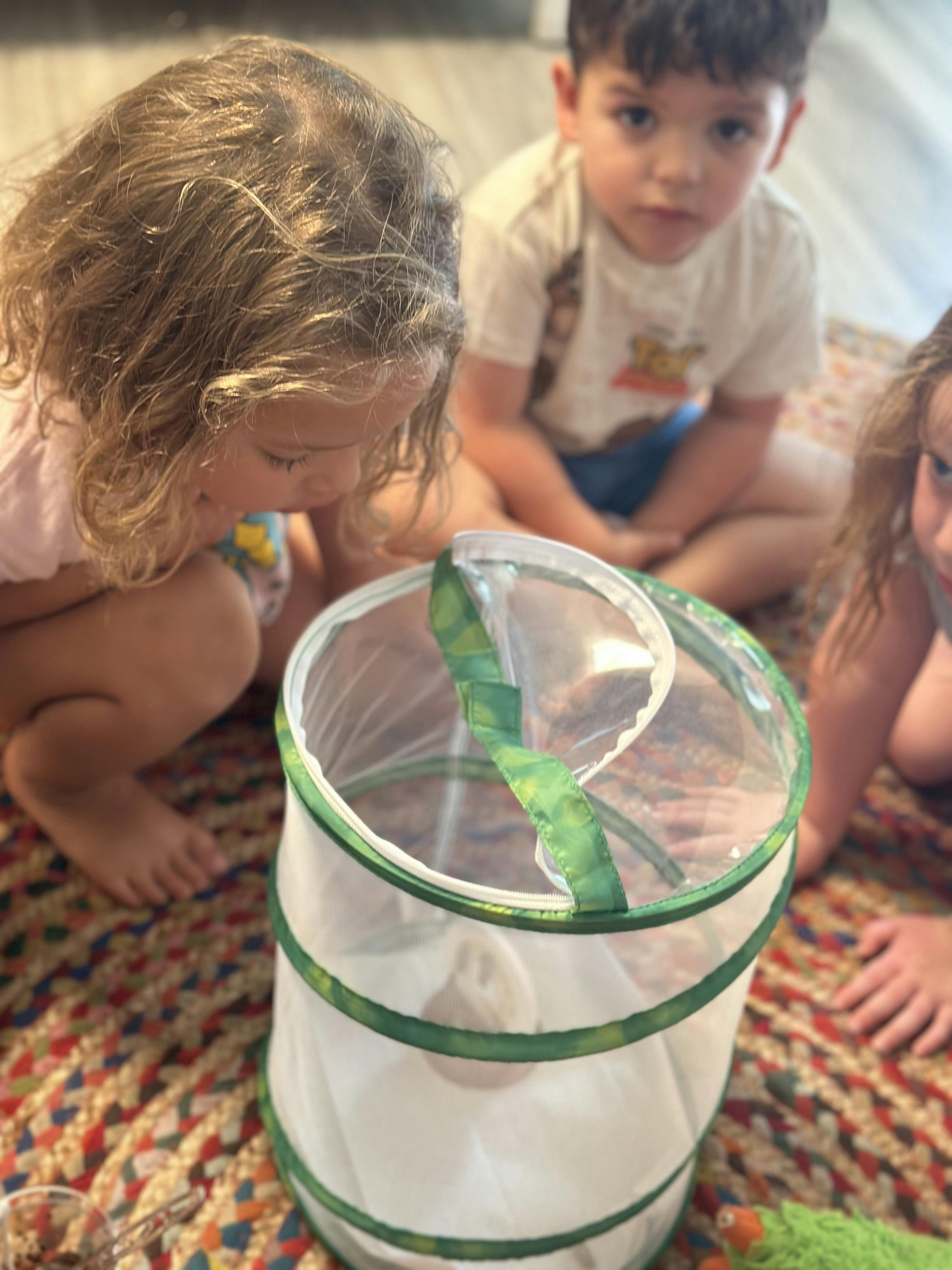 Three children observing a mesh butterfly habitat on a floor