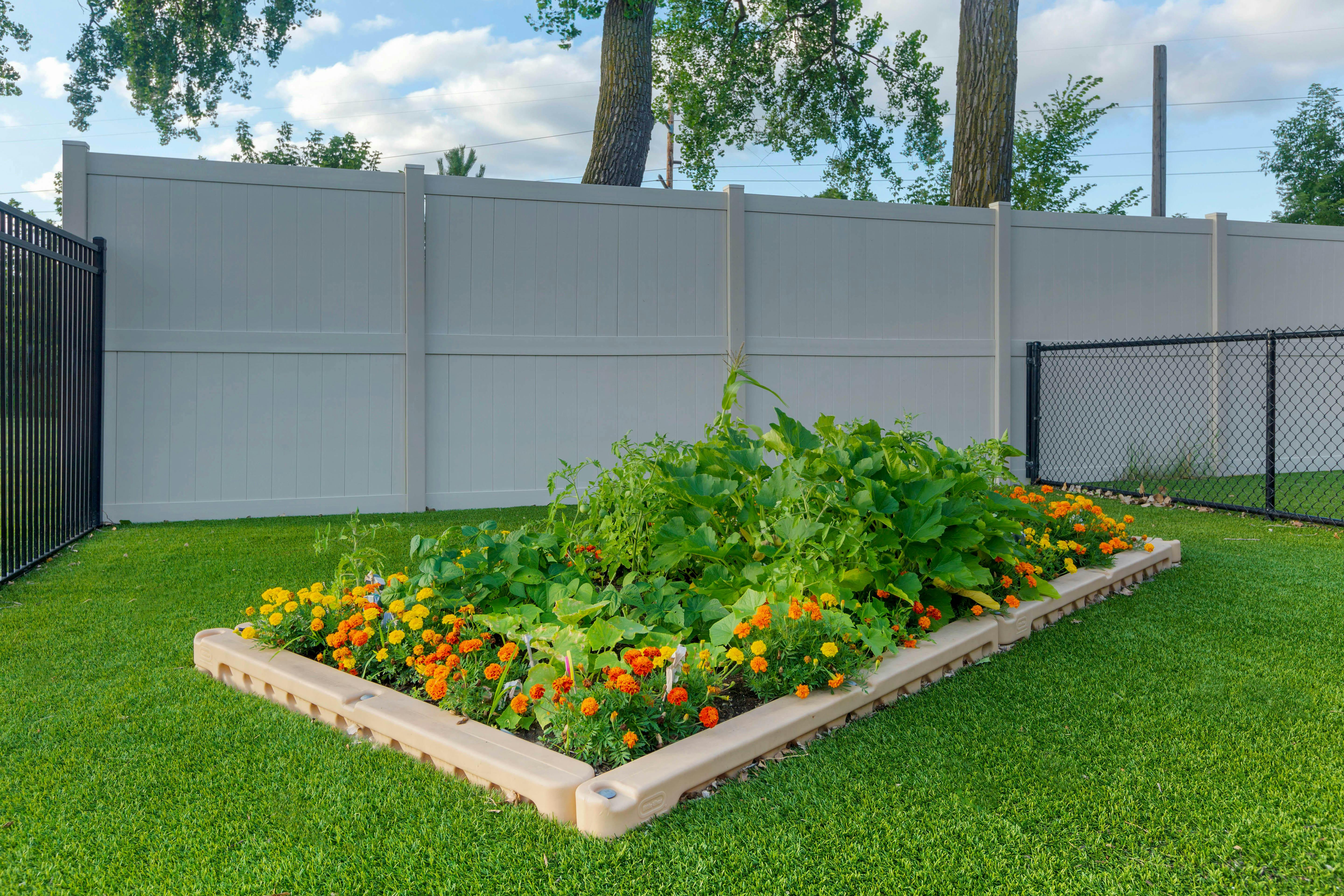 Raised garden bed with plants and orange and yellow flowers