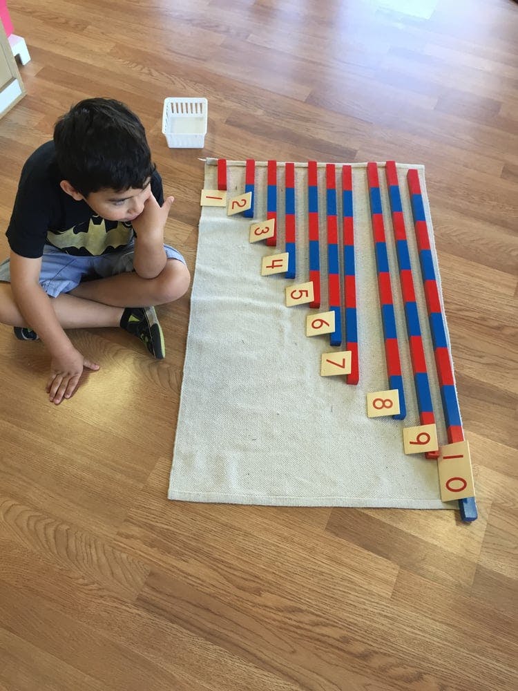 Child looking at red and blue counting rods with number labels