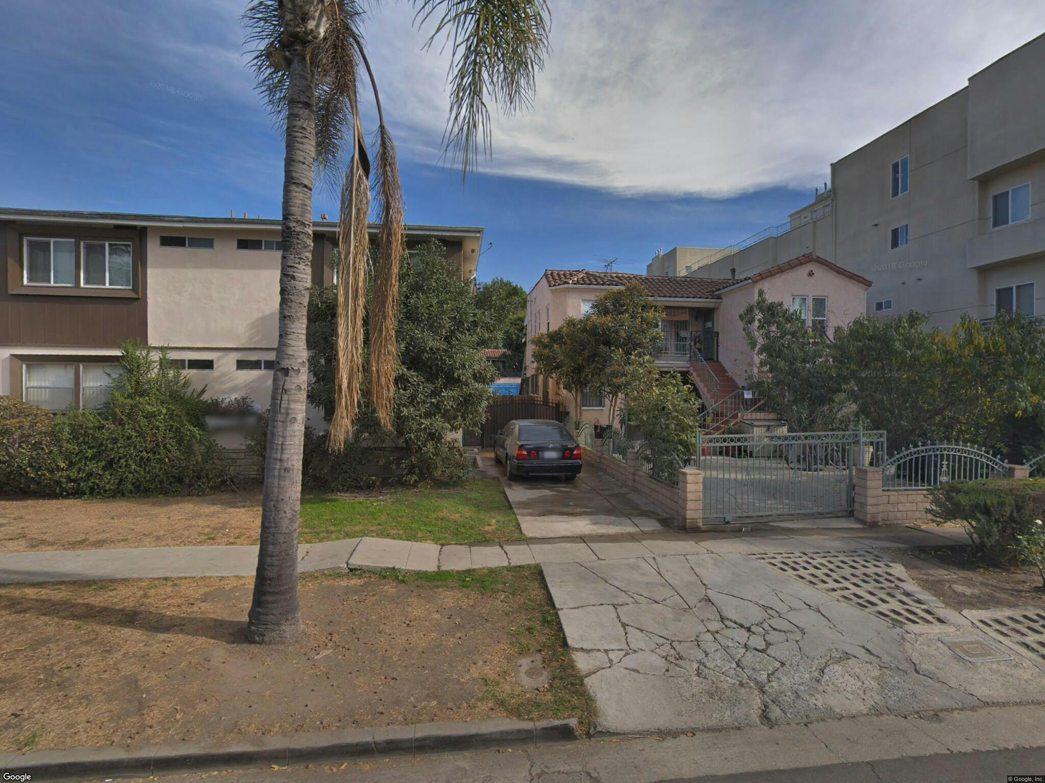 Palm tree in front of buildings and a car in a driveway