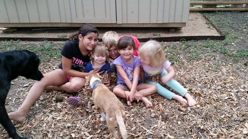 People and children sitting on ground with two dogs