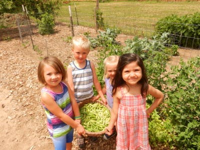 Four children holding a basket full of green beans in a garden