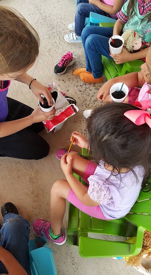 Children planting in small cups