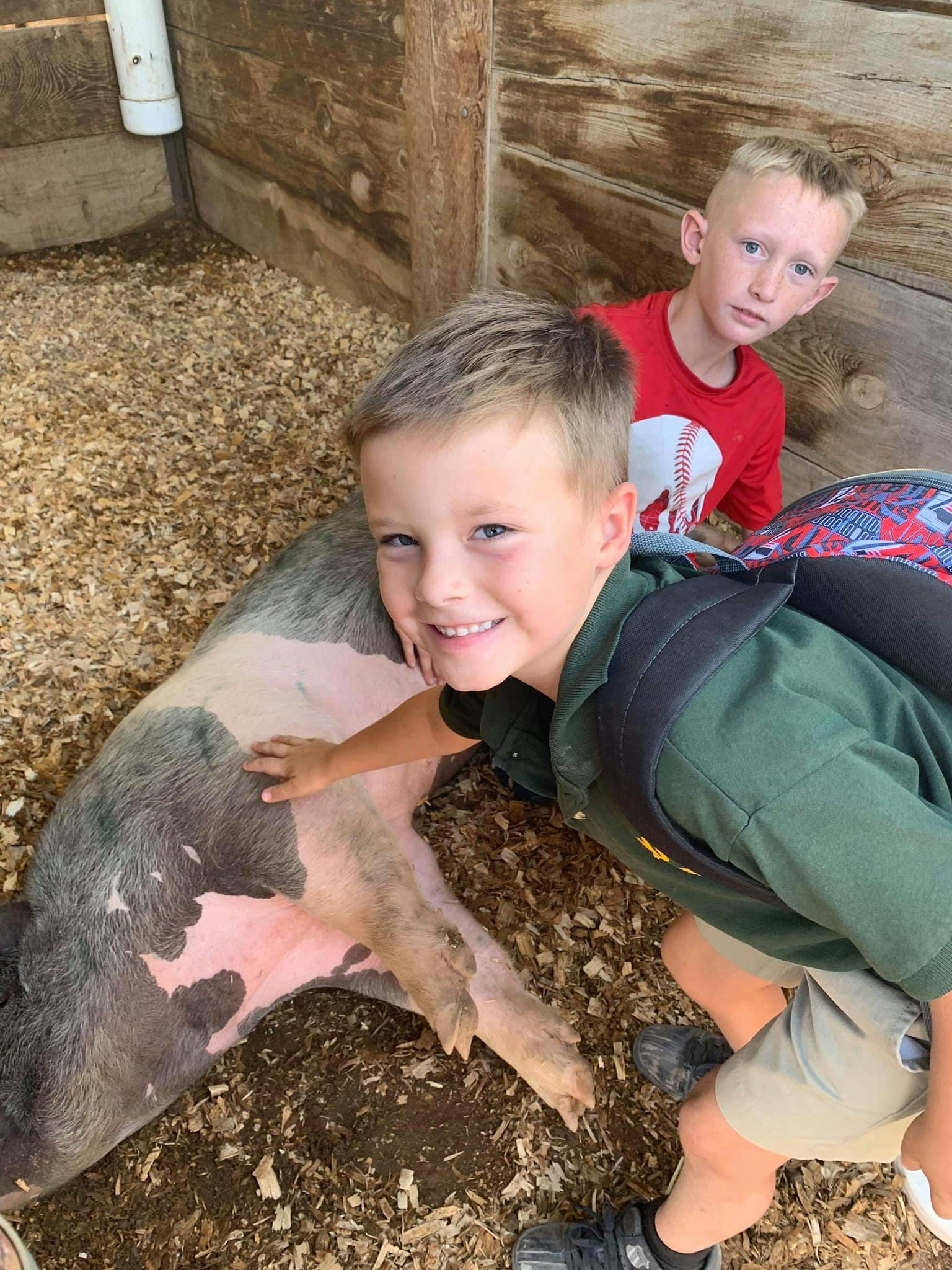 Child petting a pig while another child looks on