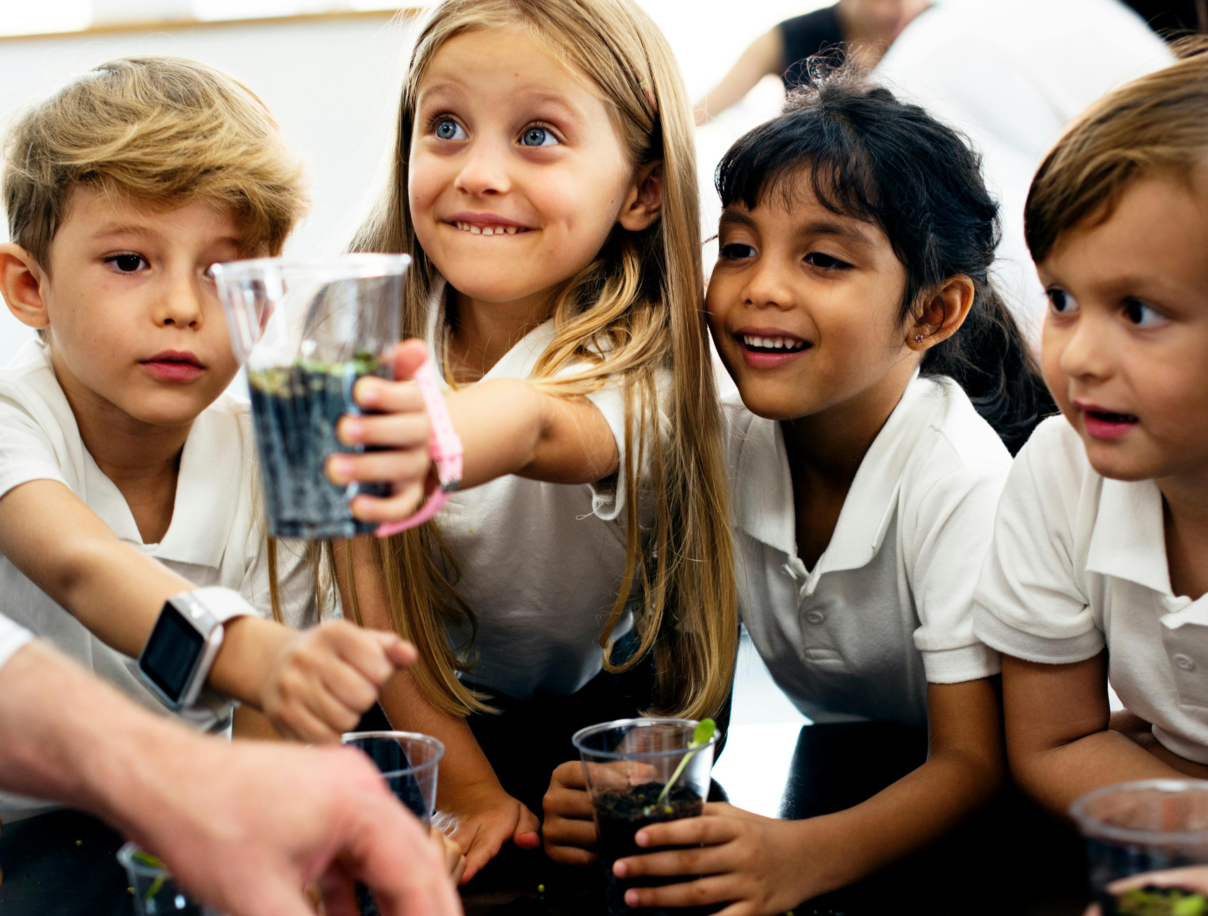 Four children in white shirts looking at seedlings in clear cups