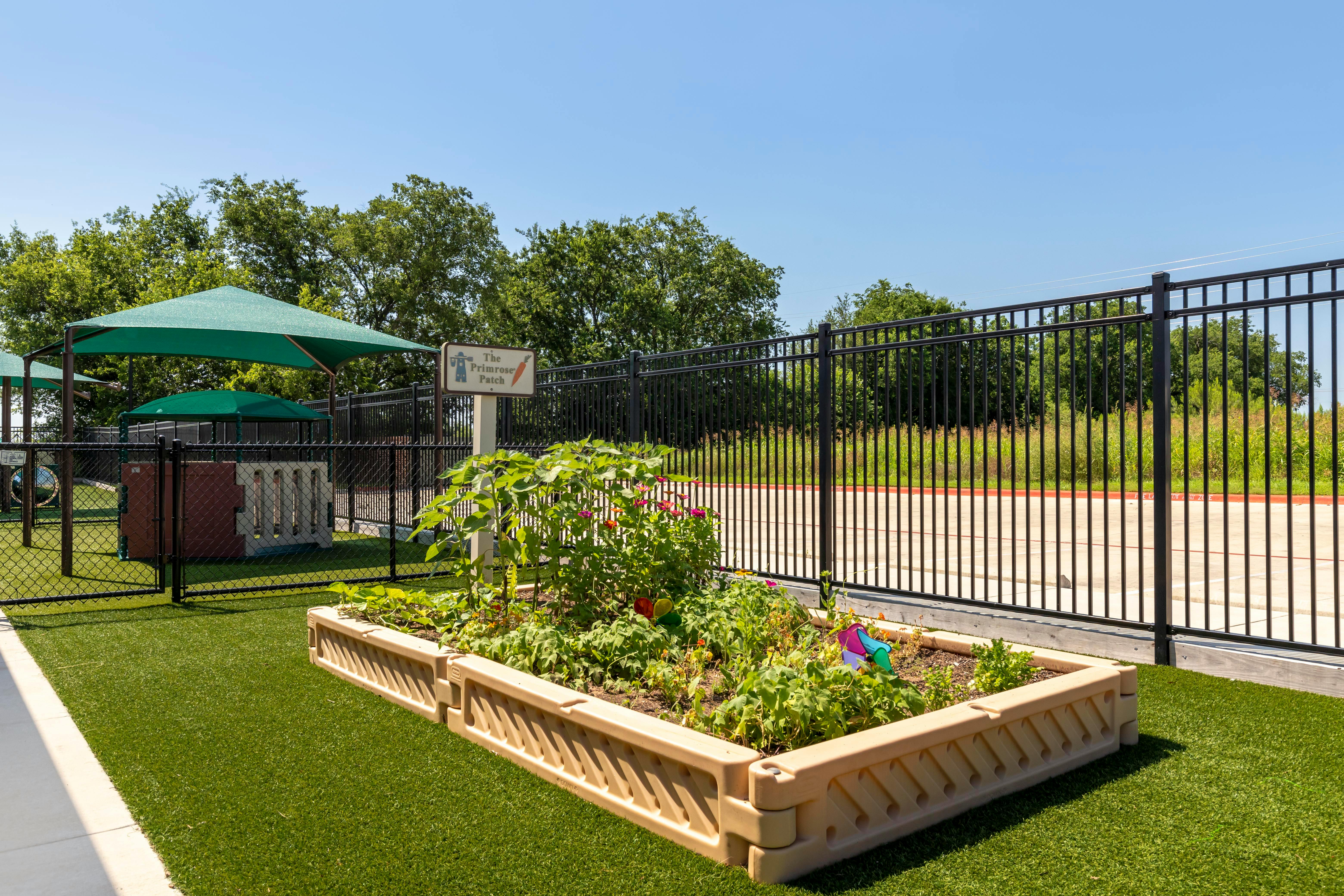 Raised garden bed on artificial turf, with a sign reading 'The Primrose Patch'