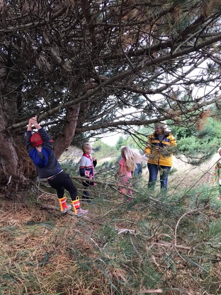 Child swinging from a tree branch with other people nearby