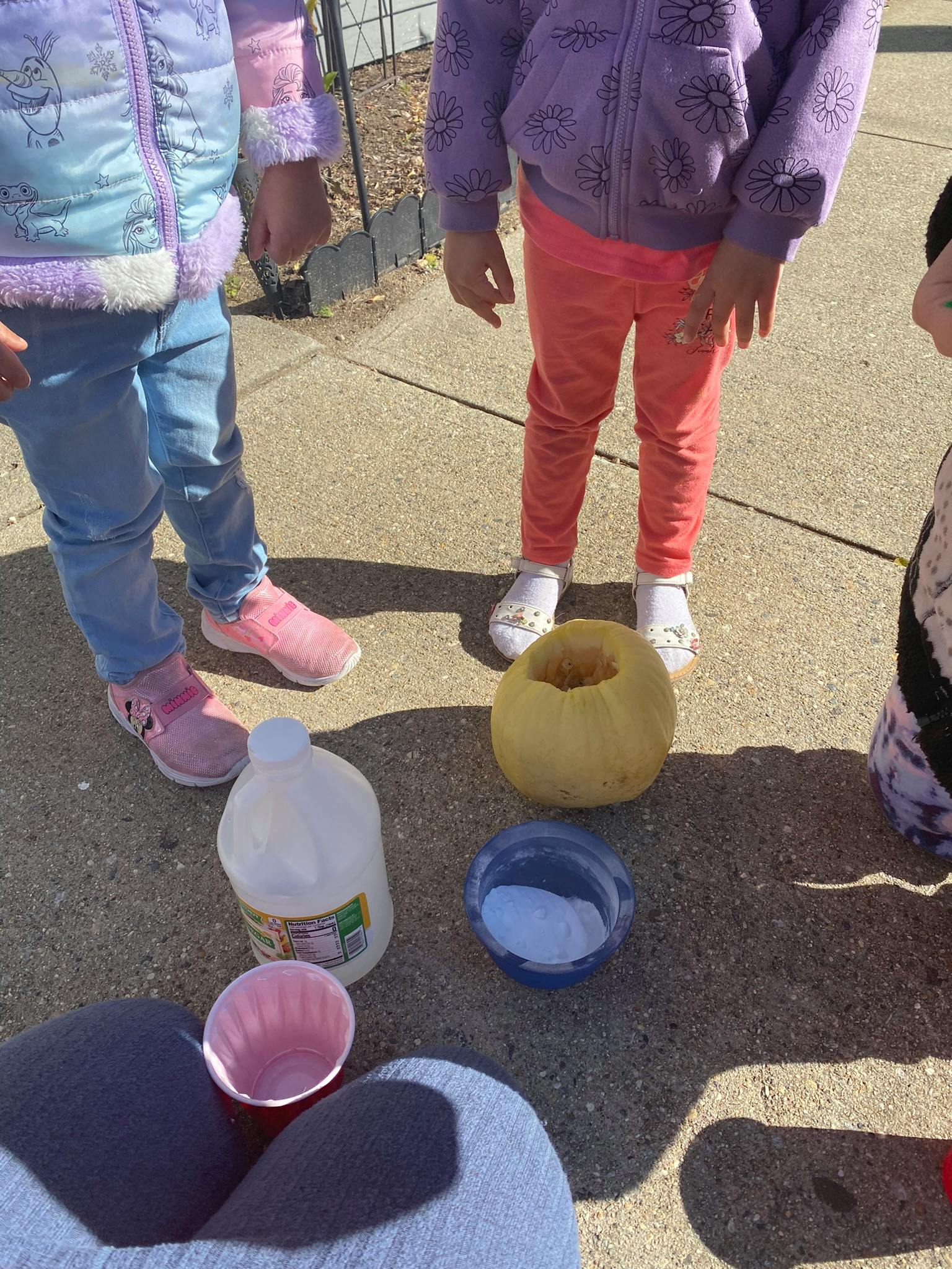 Children standing around a pumpkin, bottle, and bowls on the ground