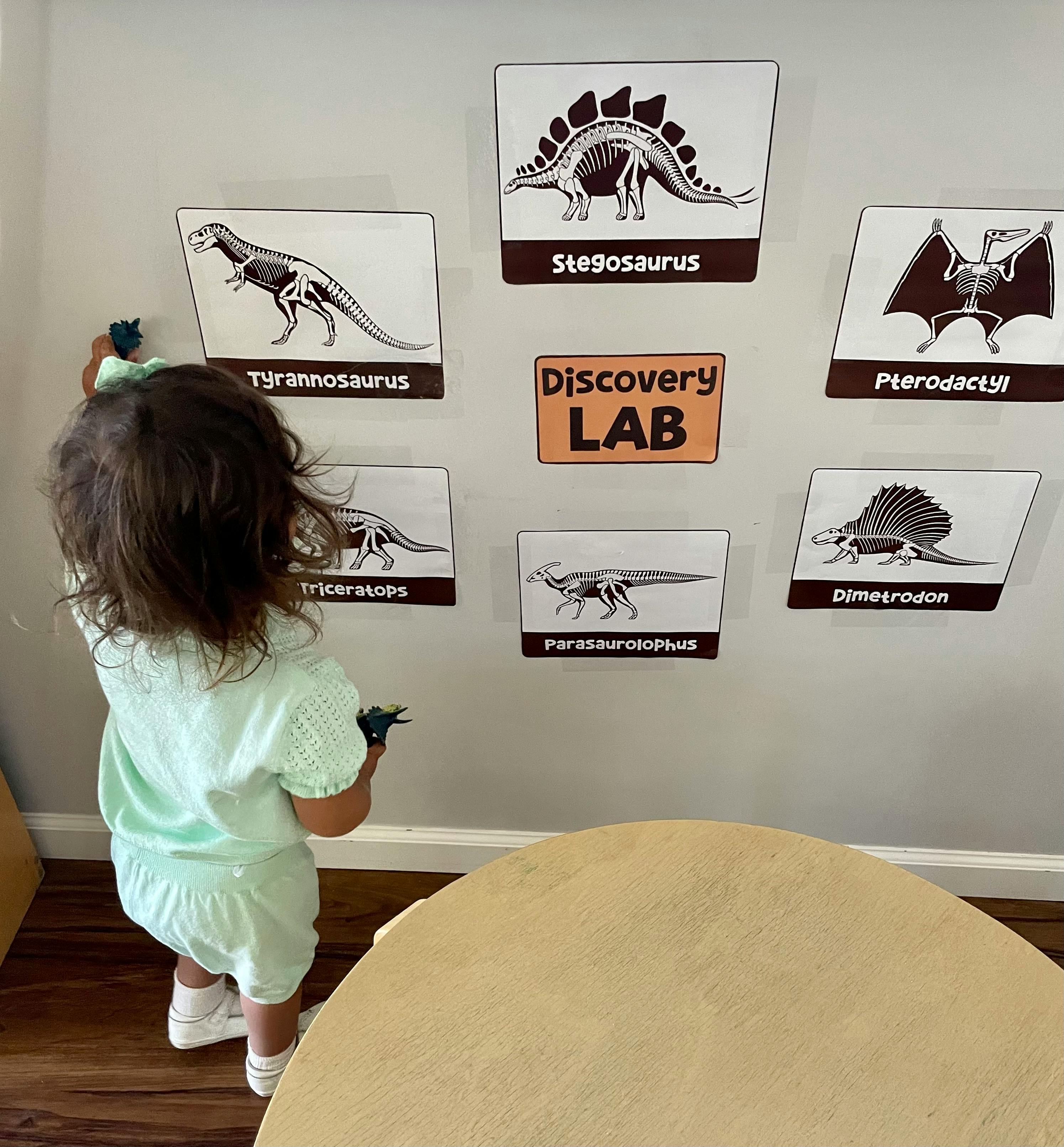 Child looking at dinosaur illustrations on a wall with a "Discovery LAB" sign