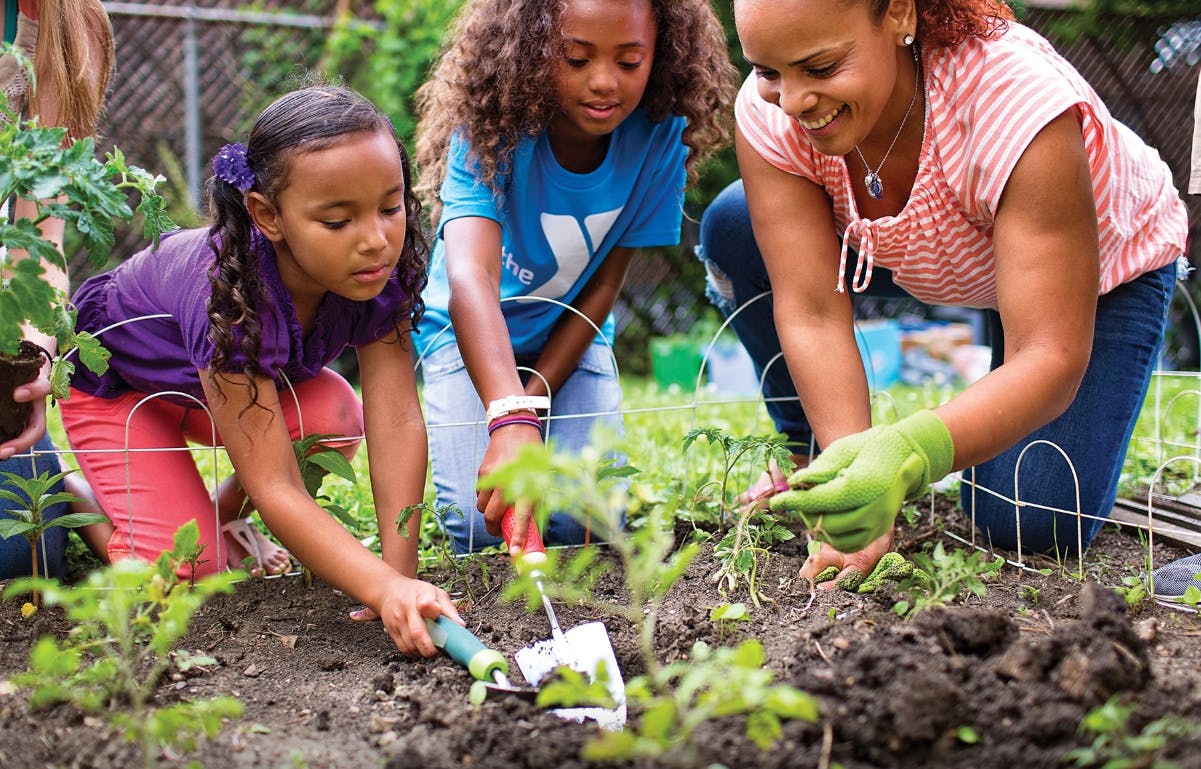 Adult and two children planting in a garden