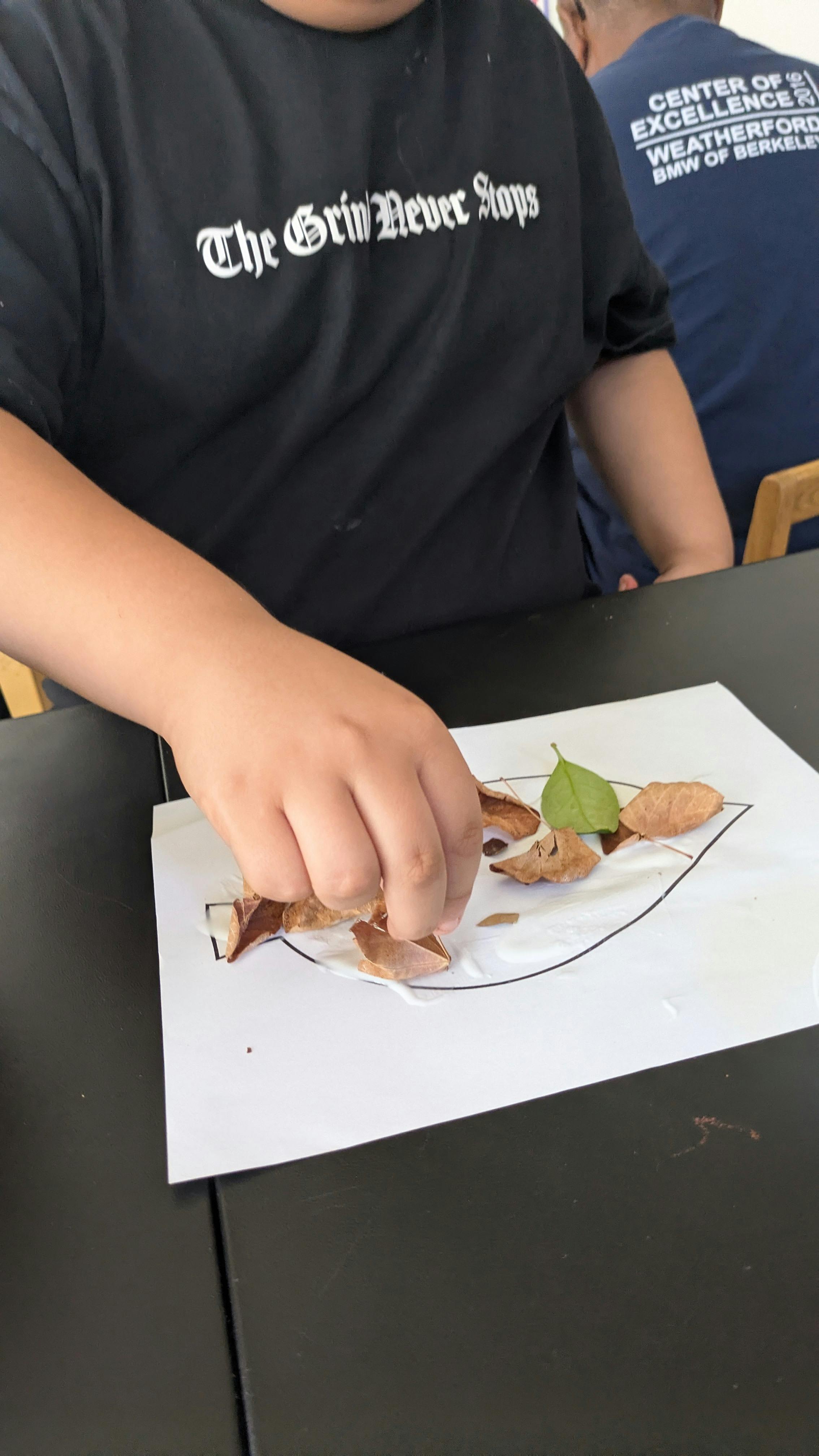 Child's hand arranging leaves on a paper with a leaf outline