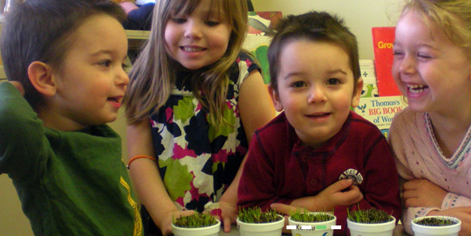 Four children looking at small potted plants