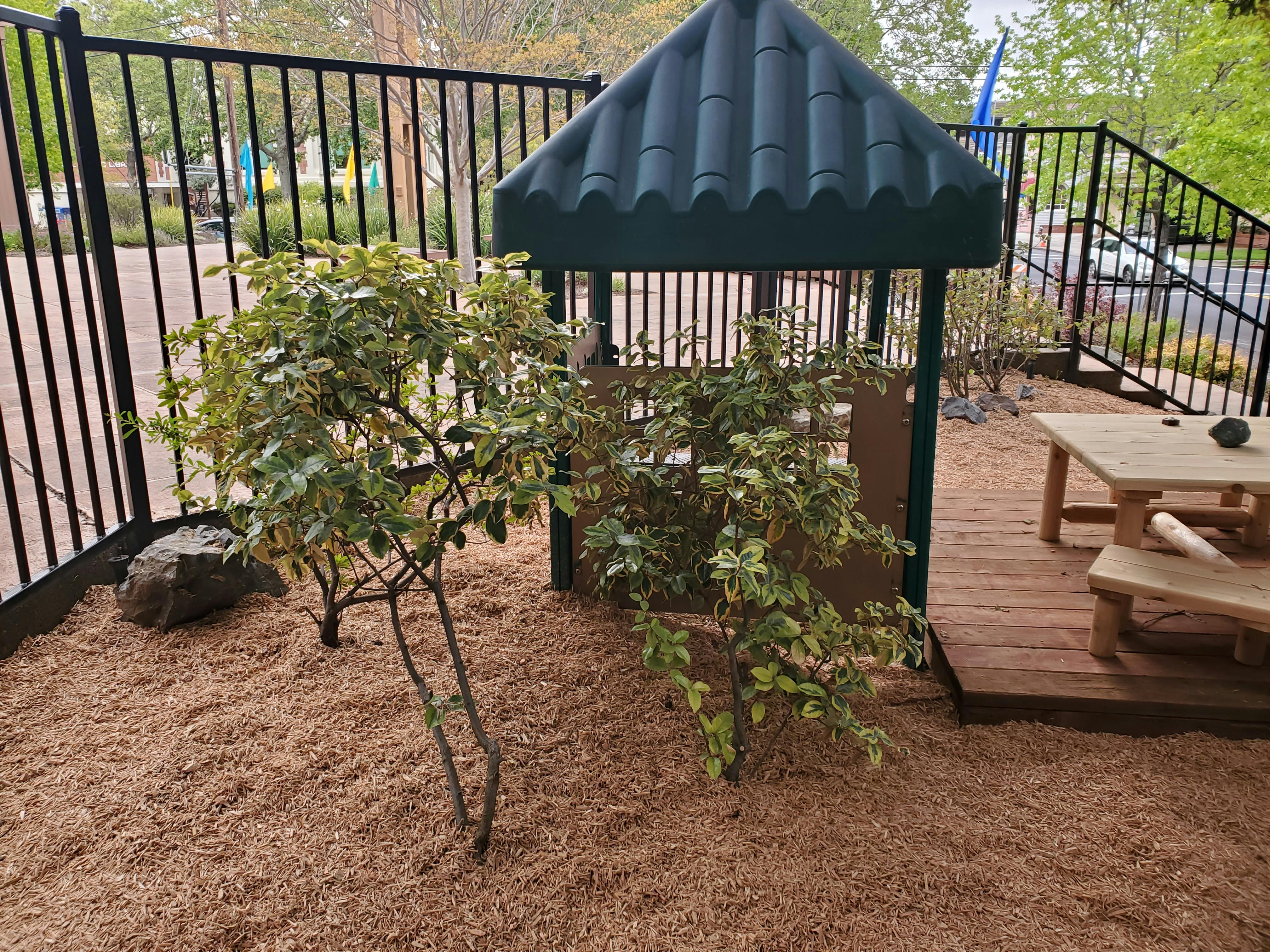 Playground area with a small green playhouse, bushes, and a picnic table