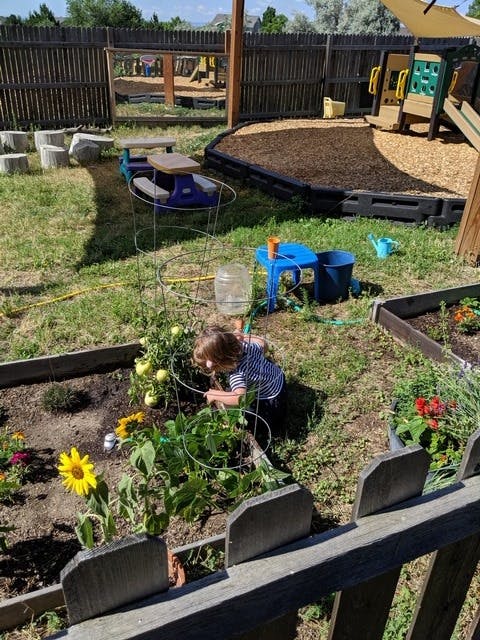 Child tending to plants in a raised garden bed