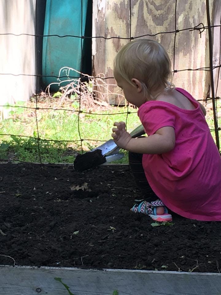 Child in a pink shirt digging in dirt with a trowel