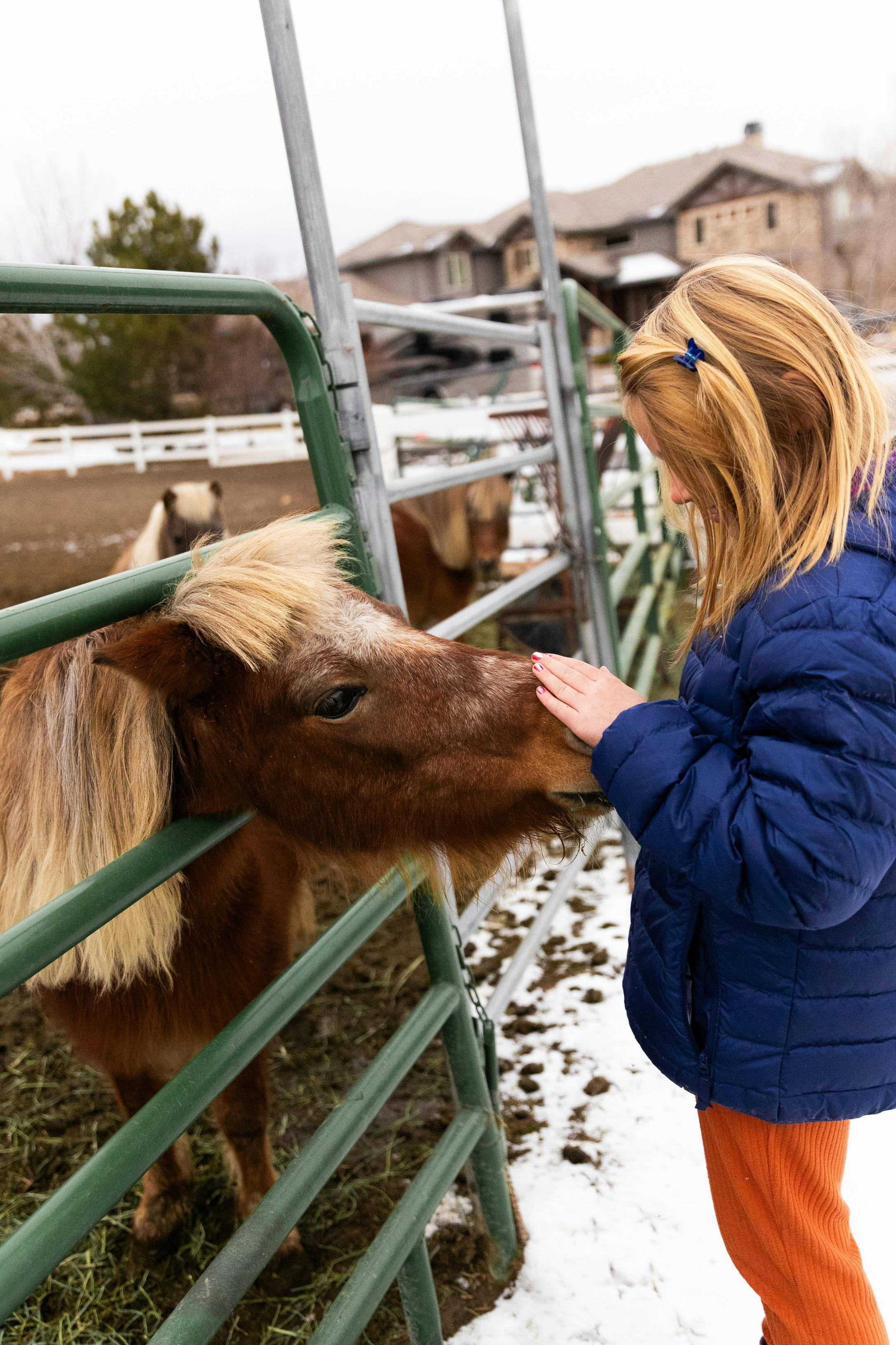 Child petting a pony through a fence