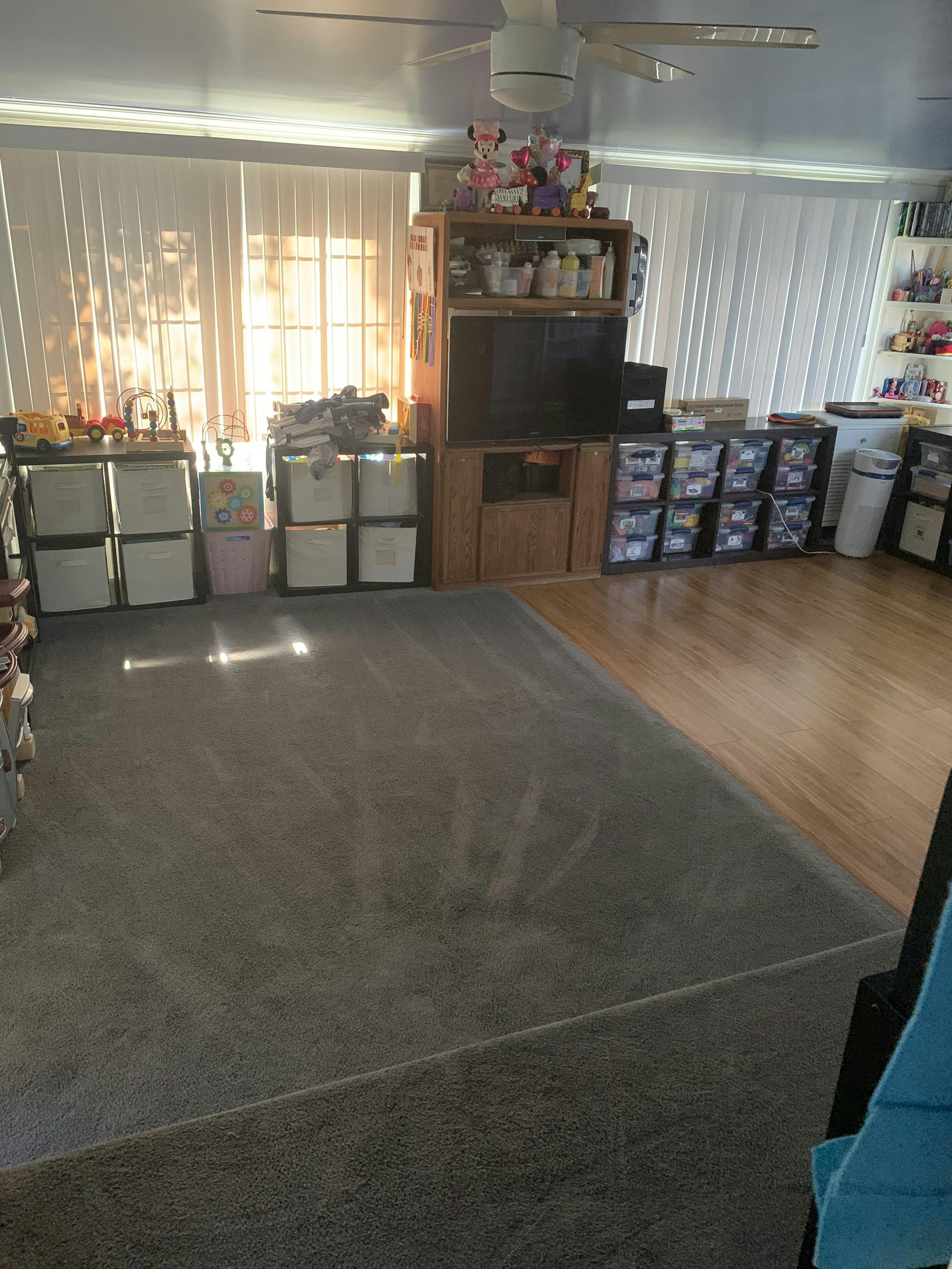 Room with carpet and wood flooring, storage units, and a television