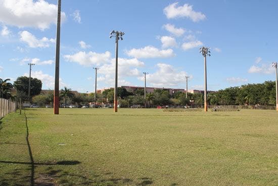 Grassy field with multiple tall light poles under a blue sky