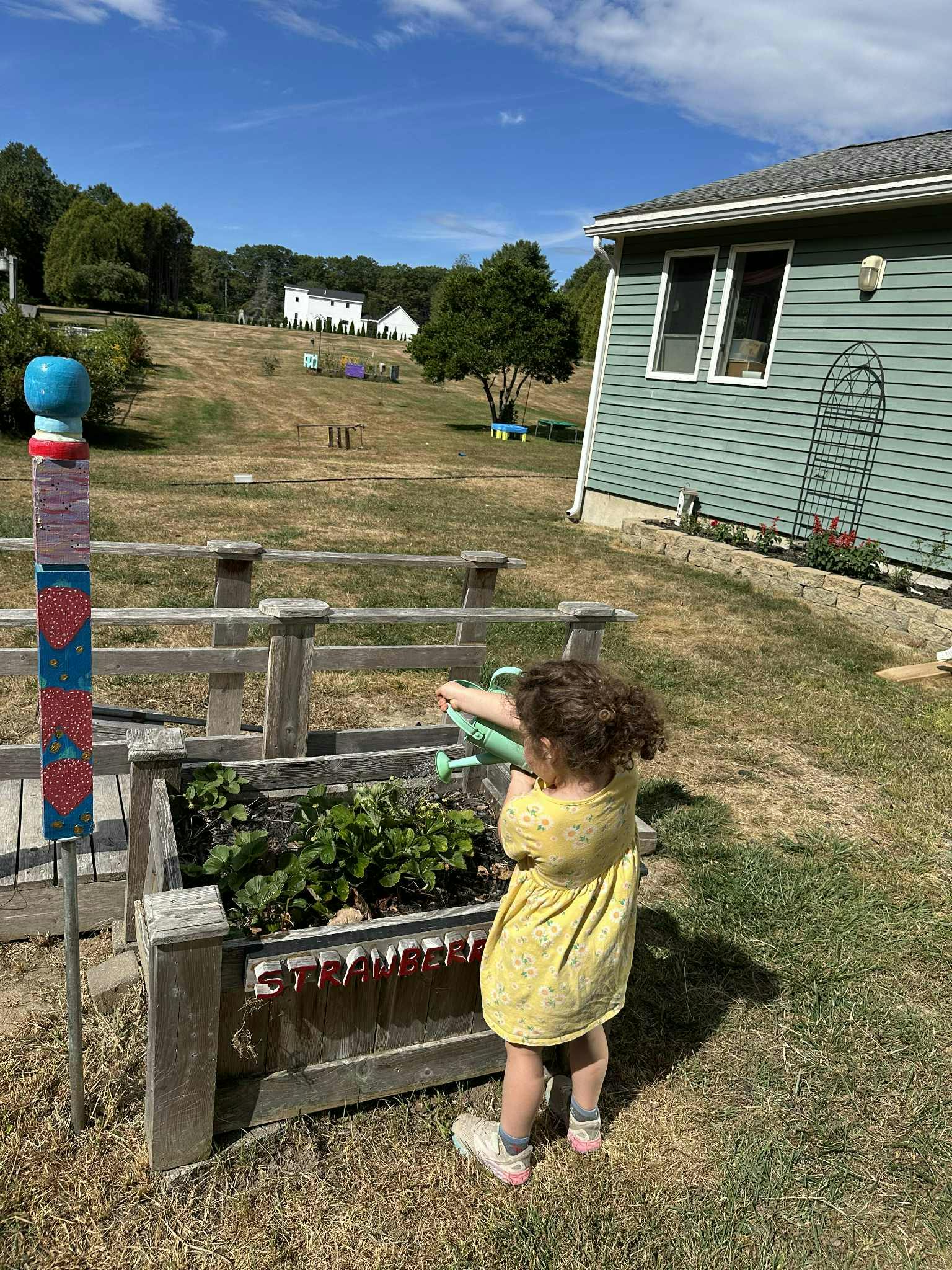 Child watering plants in a raised garden bed labeled "STRAWBERRY"