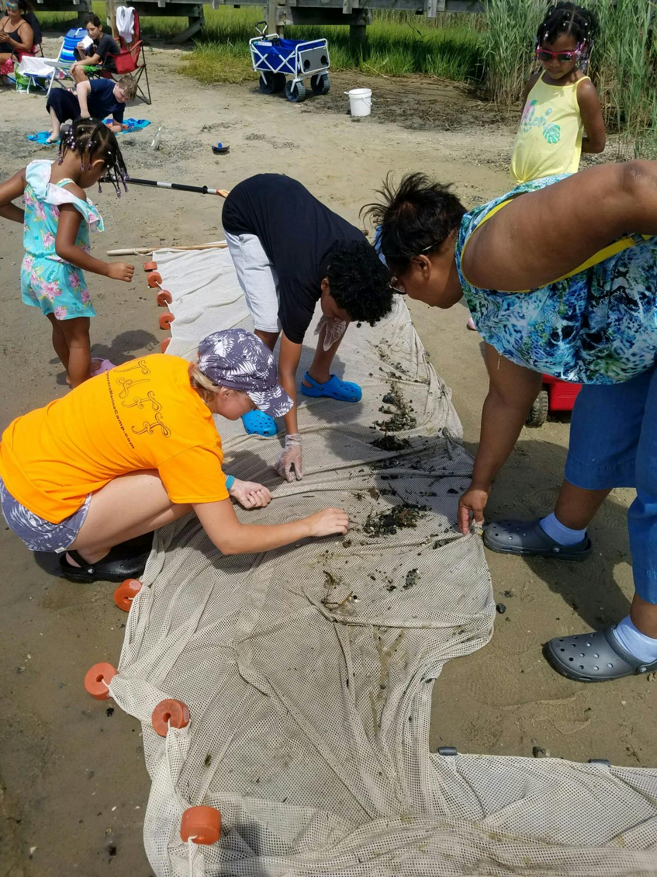 People and children examining items on a net on the ground