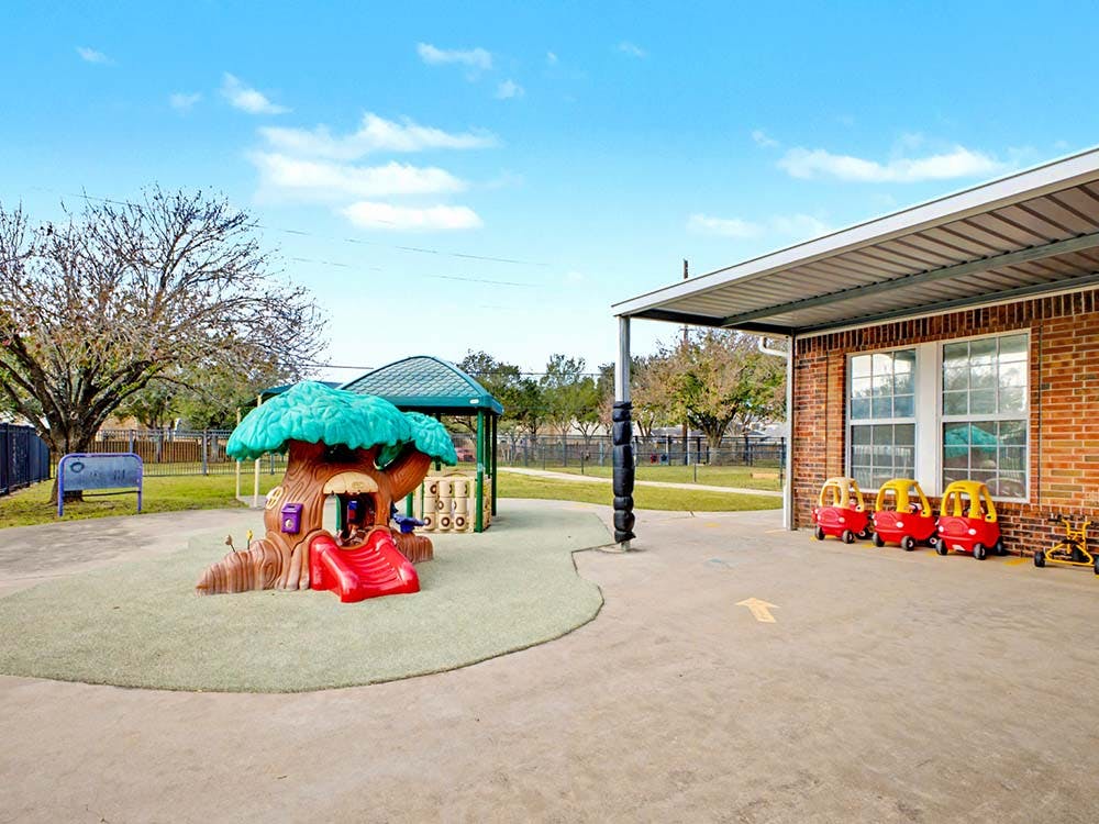 Playground with a tree-themed play structure and red toy cars