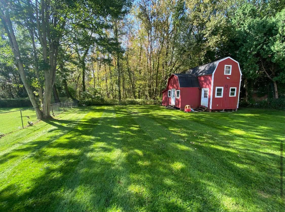 Red barn-style shed in a grassy yard with trees