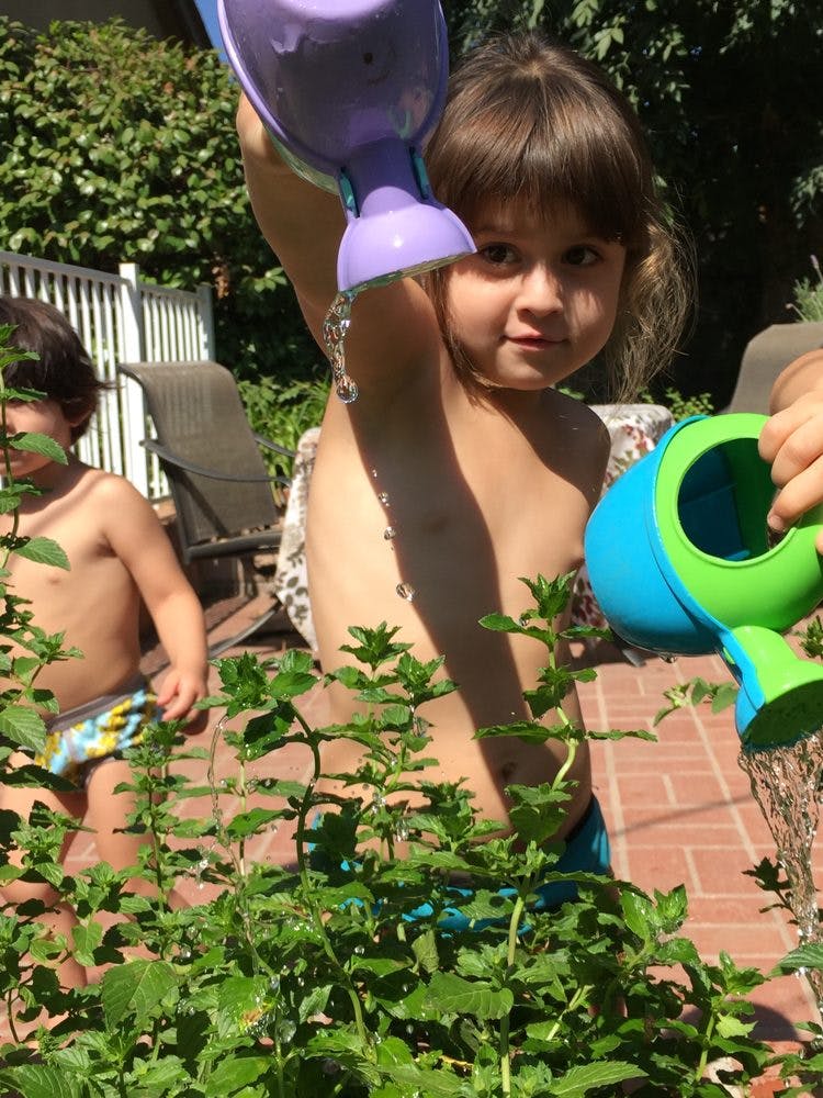 Child watering plants with a purple watering can
