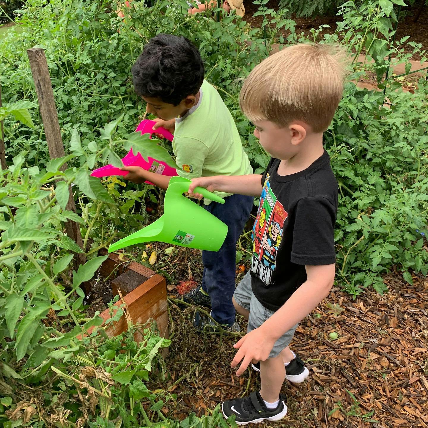 Two children watering plants in a garden