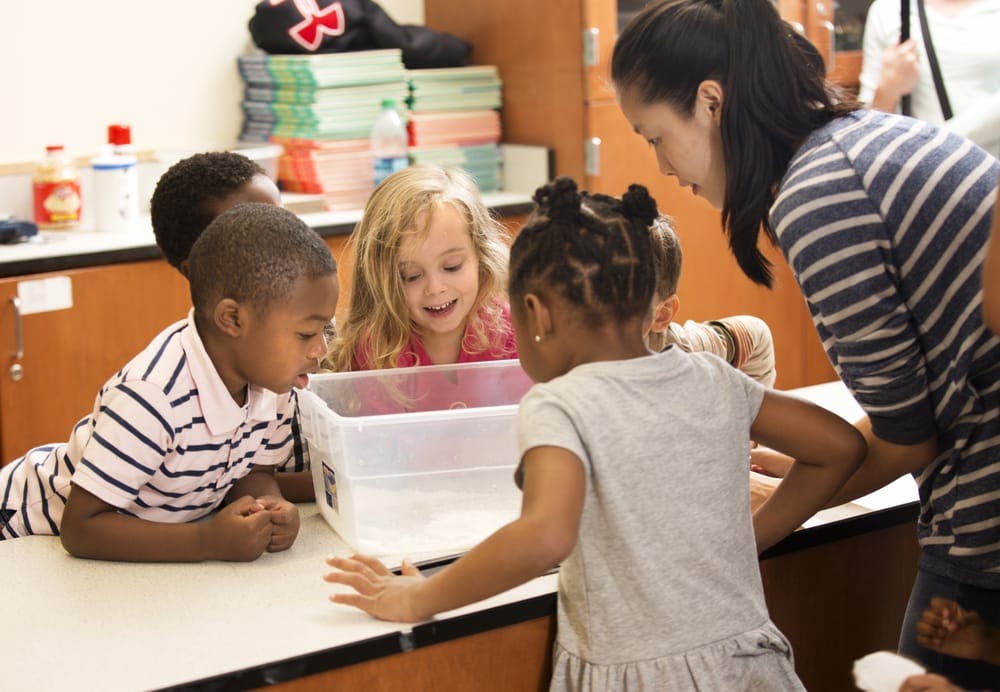 Adult and three children looking into a clear container on a table