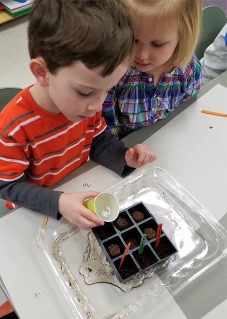 Two children planting seeds in a tray