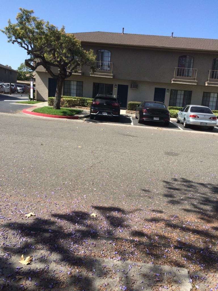 Cars parked in front of a two-story building with a tree