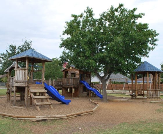 Wooden playground structure with blue slides and a large tree