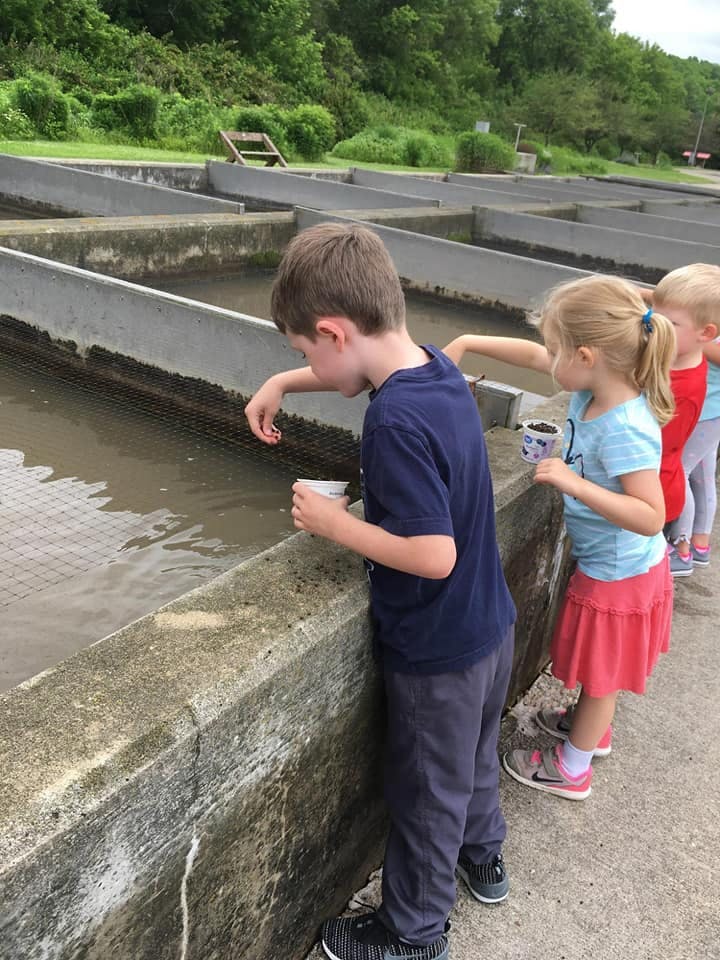 Children feeding fish in outdoor concrete tanks
