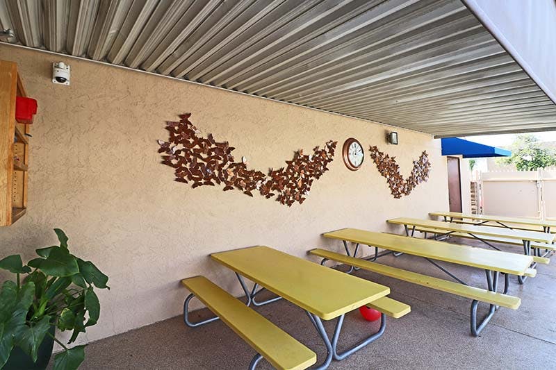 Outdoor eating area with yellow picnic tables and a decorative wall