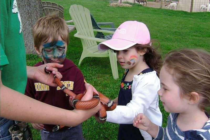 Adult holding a snake for three children to observe