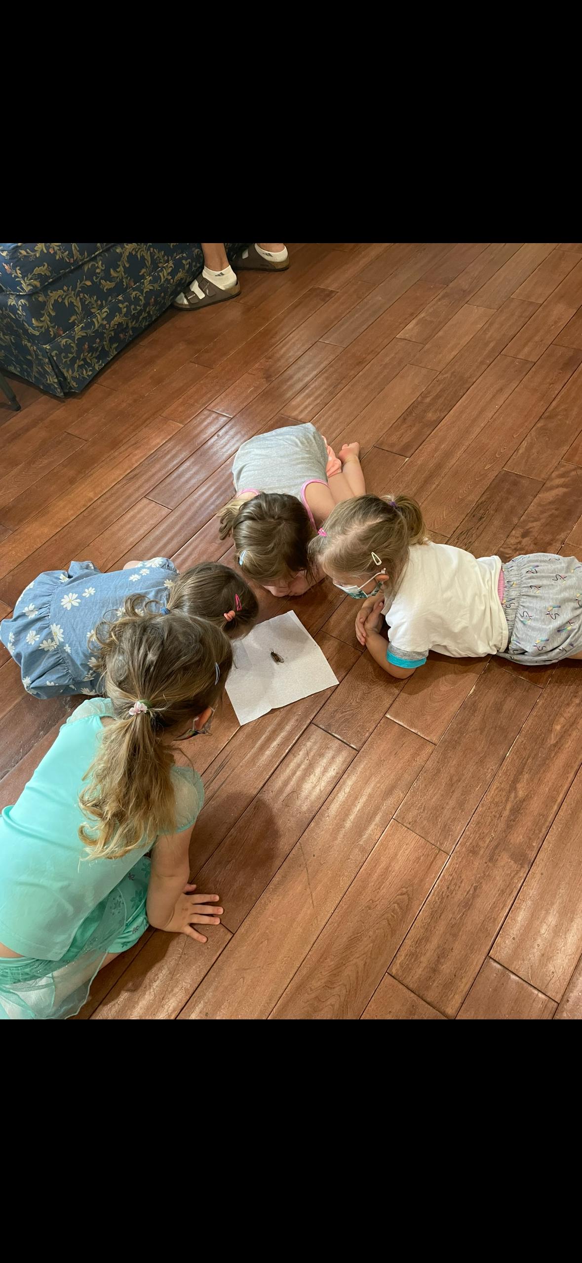 Four children lying on a wooden floor looking at a piece of paper