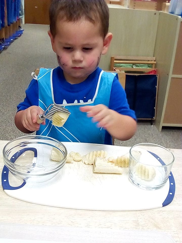 Child using a crinkle cutter on a vegetable