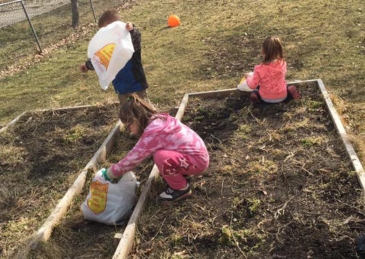Children working in a garden bed